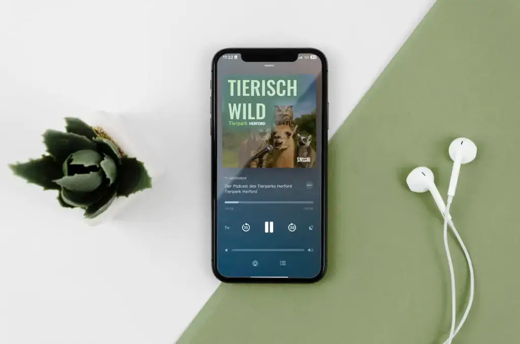 Mockup einer mobilen Benutzeroberfläche eines Podcast-Players im Kontext eines Employer-Branding-Formats.